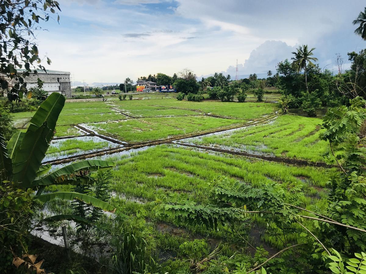 Nil Arana Resort 波隆纳鲁沃 外观 照片