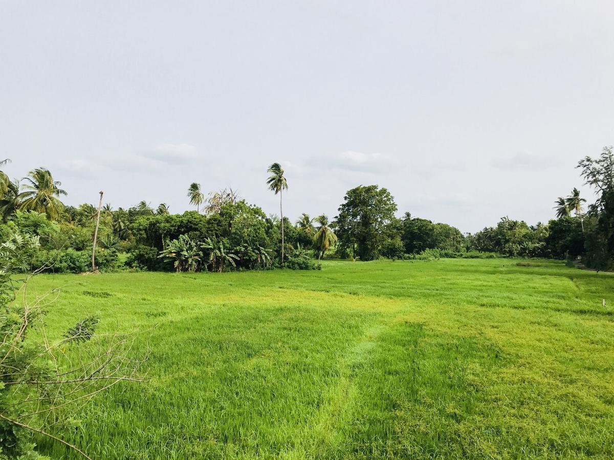Nil Arana Resort 波隆纳鲁沃 外观 照片